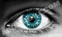 Green-Eye-800x480 Green-Eye-800x480