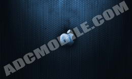 apple1 apple1