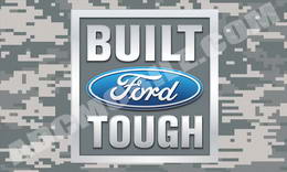 bft_camo1 bft_camo1