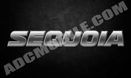 sequoia_grunge sequoia_grunge