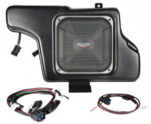 Mustang Subwoofer