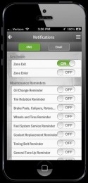 iPhone: Notification Options