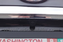 2014 Avalon (detail)
