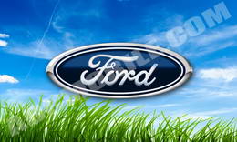 ford_grass