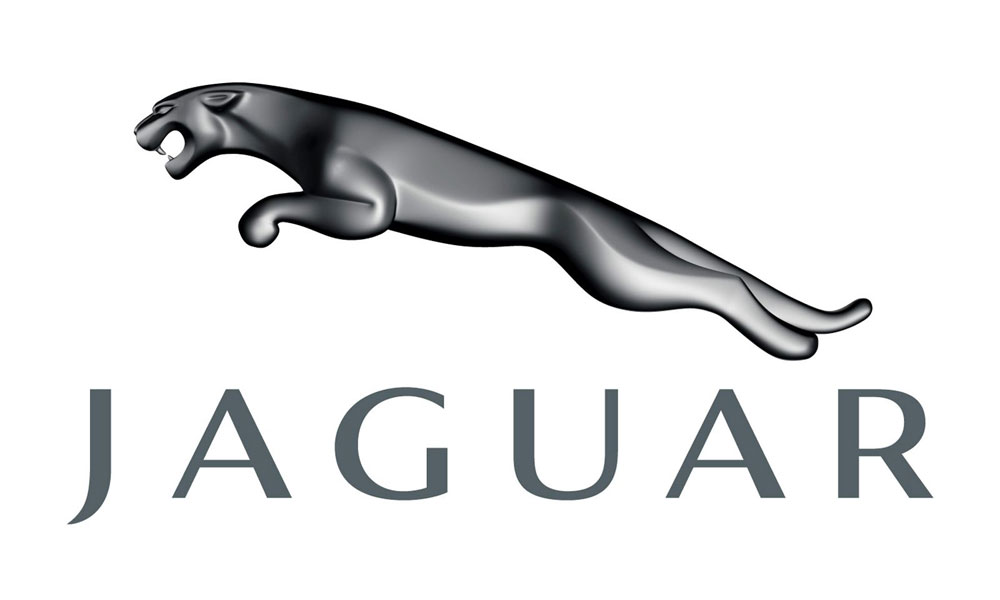 Jaguar Video in Motion
