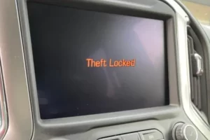 GM VIN Clear "Theft Unlock" Programmer