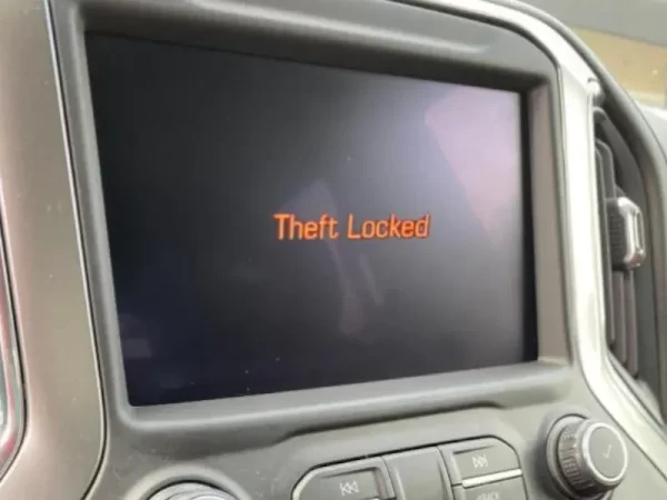 GM VIN Clear "Theft Unlock" Programmer