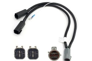 Reading Body 1x8 to 2x4  2019-24 RAM Box Delete/Bed Removal