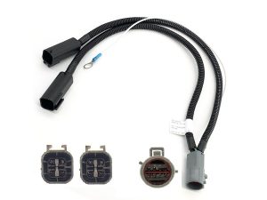 Reading Body 1x8 to 2x4  2019-24 RAM Box Delete/Bed Removal