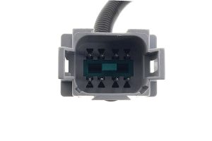 CM Body Harness to Hillsboro Body Adapter Harness - Image 4